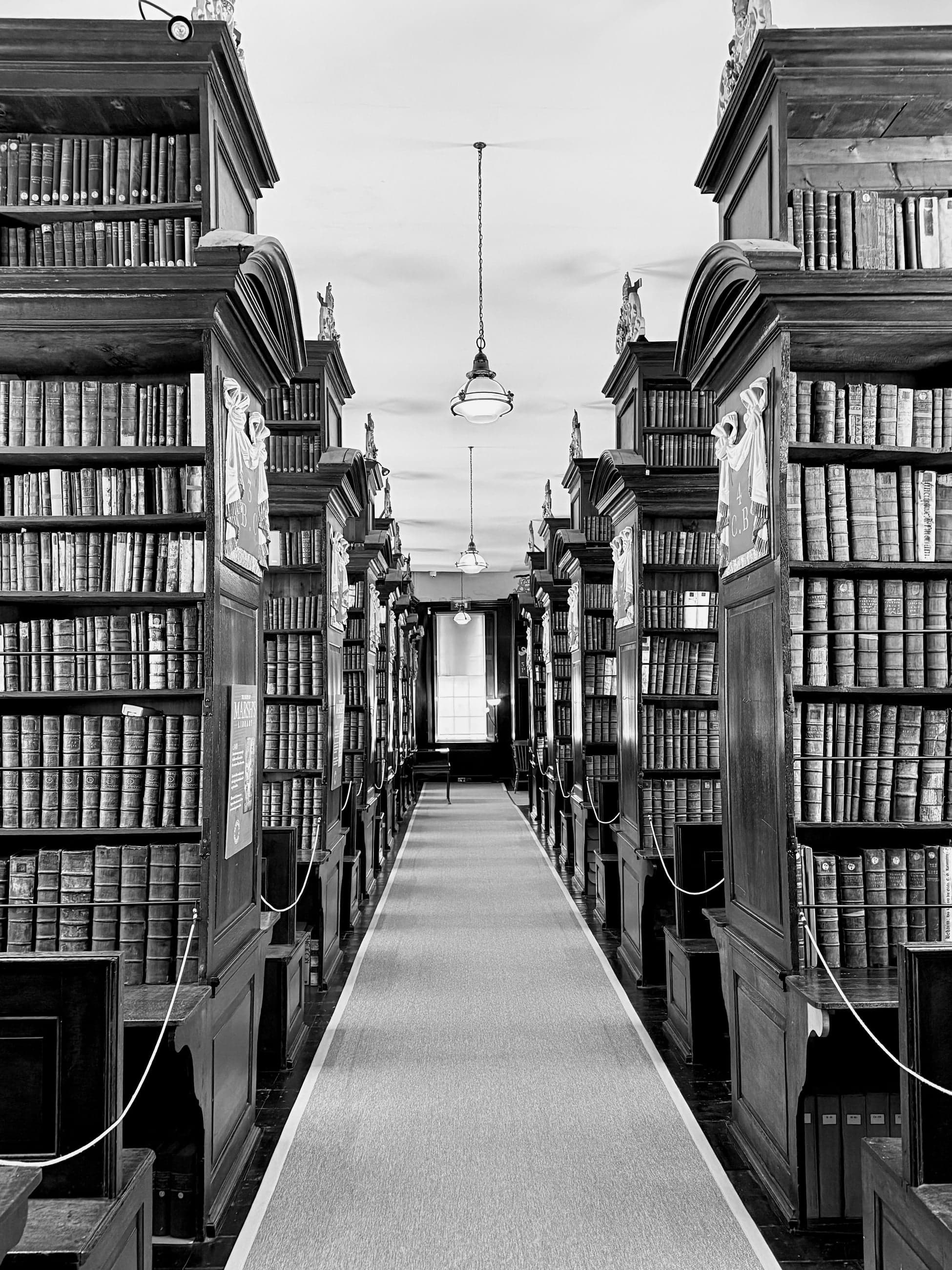 Symmetrical historic library aisle lined with books